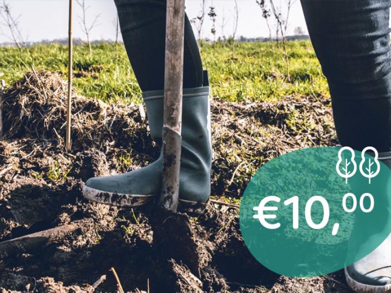 2 Bomen doneren voor €10,00