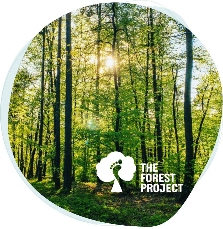 Clean Energy steunt het Forest Project