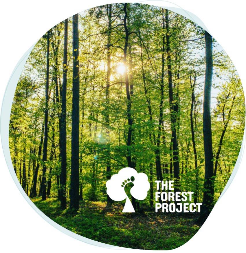 Clean Energy steunt het Forest Project